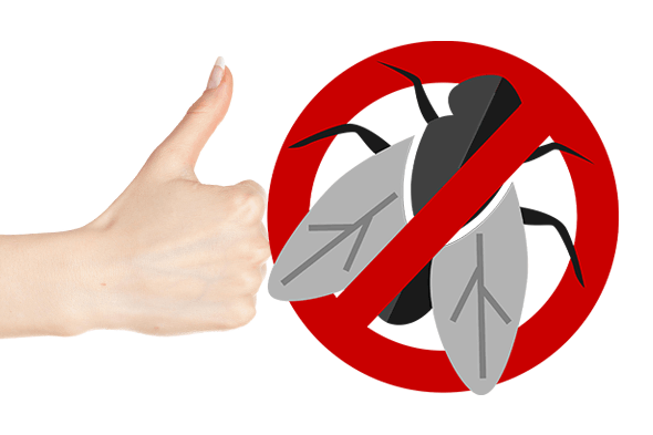 Nous repoussons les Mouches